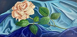 “Satin Rose” 15x30 oil on canvas ~$100~